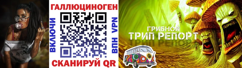 Псилоцибиновые грибы Cubensis  Красноперекопск 