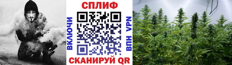 Шишки марихуана планчик  Красноперекопск 